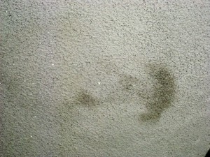 Water Stain from a Leaky Roof